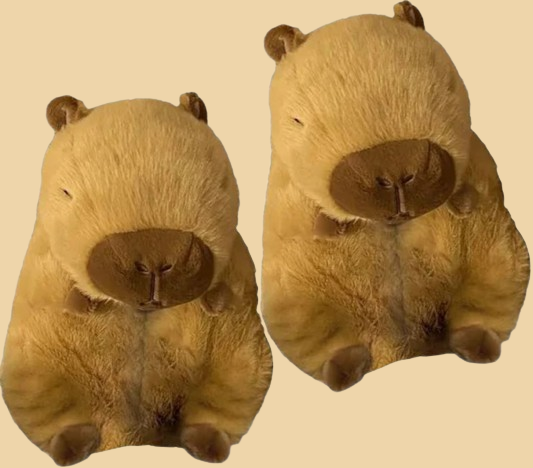 Capybara Slippers